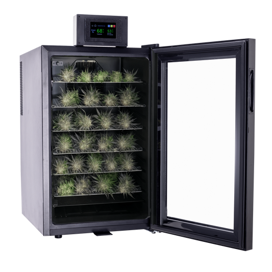 Cannatrol Cool Cure Trockenautomat